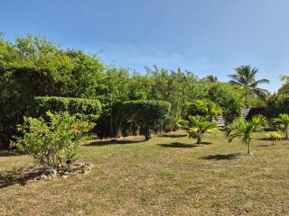 Fleur d'Hibiscus - 1