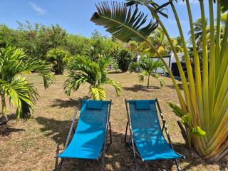 Fleur d'Hibiscus - 2