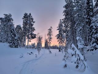 Unique aurora experience - 7