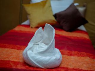 Luxury Desert Queen Camp - 2