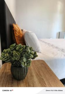 JeffersonGuest-House - 0