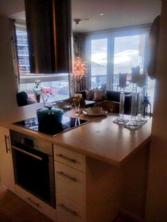 Downtown apartment all to yourself - 0