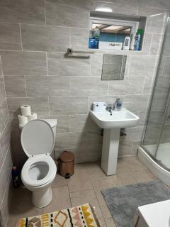 Amazing House in Leyton - 6