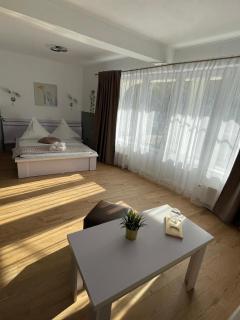 Pensiunea Carina - 1