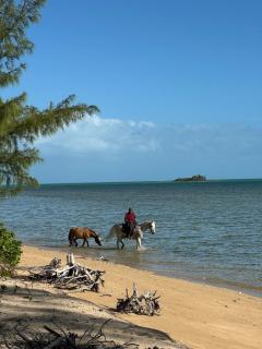 Canal Front 3 bedroom 2 bathroom - 7