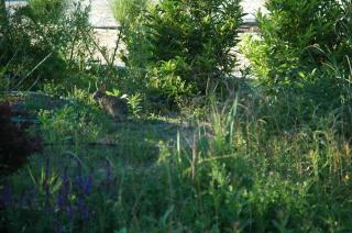 Family Vacation Home - Stunning Views across Salt Pond - 1