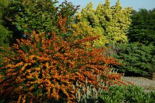 Family Vacation Home - Stunning Views across Salt Pond - 6