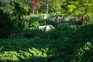 Family Vacation Home - Stunning Views across Salt Pond - 5