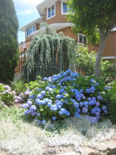 Family Vacation Home - Stunning Views across Salt Pond - 3