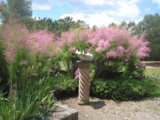 Family Vacation Home - Stunning Views across Salt Pond - 2