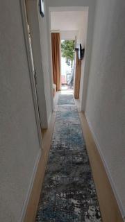 Apartment Pinješ - 3