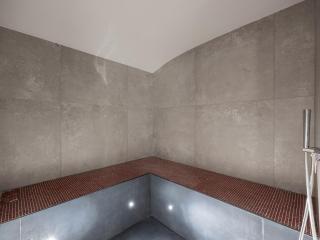 Le Cheval Blanc et Le Loup Blanc, jacuzzi, hammam, skis aux pieds - 4