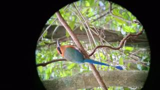 Mountain Retreat in Bijagua de Upala with Stunning Nature Views - 1