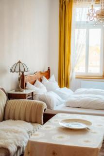 Unik Villa- Luxus Appartemente im Oberharz - 1