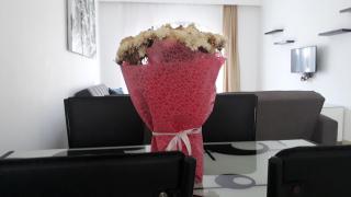 Amazing pool view condo - 0