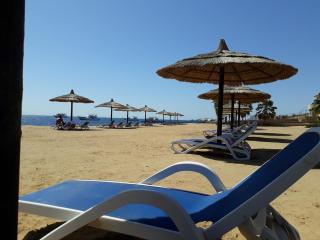 Amazing pool view condo - 9