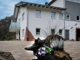 Ferienhof Giedensbach - Oberkirch - 4