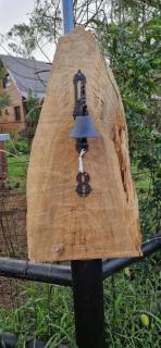 Studio cosy à La Plaine-des-Palmistes, 18 m², jardin - 5