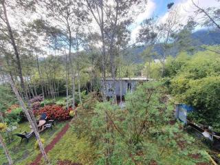 Studio cosy à La Plaine-des-Palmistes, 18 m², jardin - 4