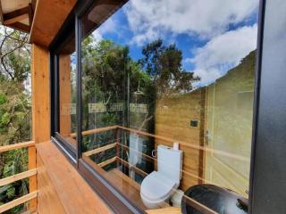 Studio cosy à La Plaine-des-Palmistes, 18 m², jardin - 3