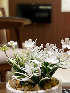 Regal view Aparthotel - 6