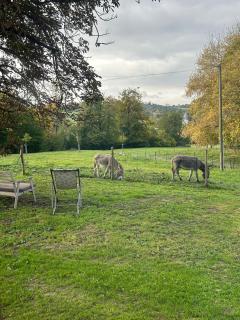 maison clôturée au pied des ânes avec jacuzzi - 2