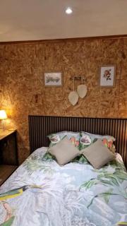 Studio accueillant à La Plaine-des-Palmistes, 15 m² - 3