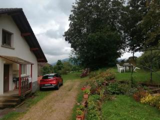 Appartement confortable à Cleurie avec jardin - 9