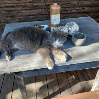 Ferienwohnung Beim Straßer - 7