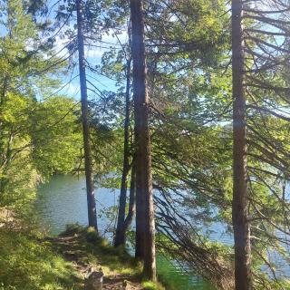 Ferienwohnung Beim Straßer - 5