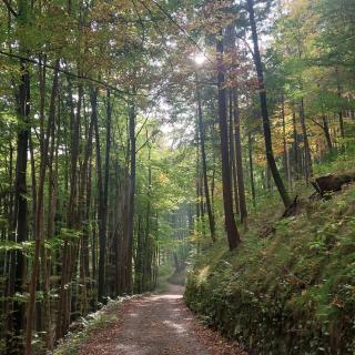 Ferienwohnung Beim Straßer - 6