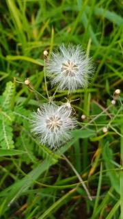 Air Puteri Rest House - 4