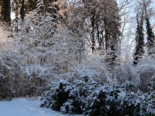 Appartement cosy avec Wifi à l'orée du bois - FR-1-846-11 - Samoëns - 2