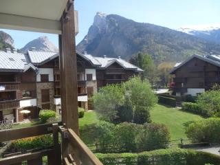 Studio cosy pour 4 à Samoëns - FR-1-846-22 - Samoëns - 1
