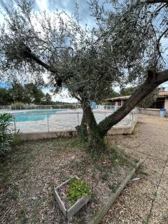 Studio vue panoramique et piscine - 9