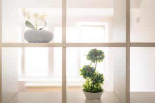 STUDIO APARTMENT SiLVER - 5