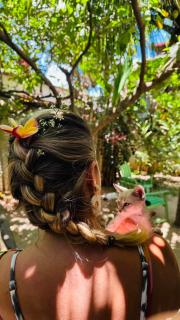 Pousada Águas de Tamandaré - 5