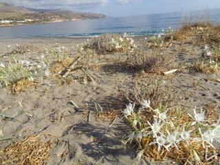 Apartment in natural stone house - 7