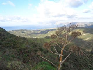 Apartment in natural stone house - 3
