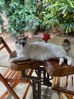 Pousada Águas de Tamandaré - 9