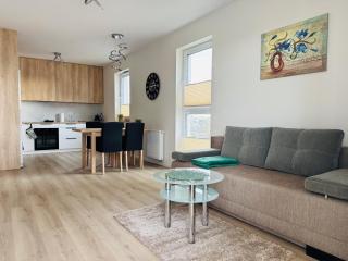 Apartament Premium 49 m - Centrum - Garaż - Klimatyzacja - 7