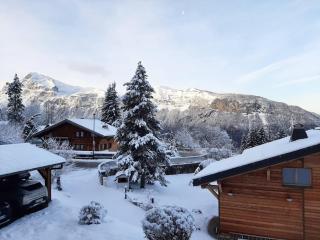 Studio 4 pers, rénove, lave-vaisselle, parking, pied des pistes - FR-1-572-197 - 3