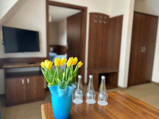 Pensjonat pod Kotelnicą - 8