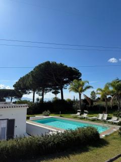 Vigna delle Rose - 8