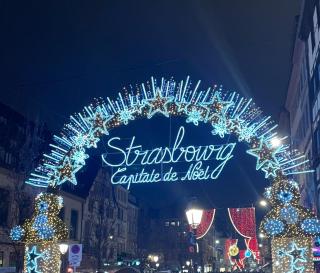 Robertsau, jardin en ville - 6