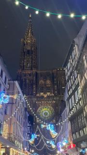 Robertsau, jardin en ville - 5