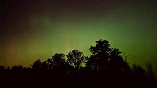 The Alderwood Lodge - 8