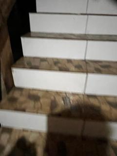 Sitio Rosa Nobre - 3