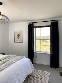 11-Acre Retreat I Firepit, Pickleball and Nature - 4