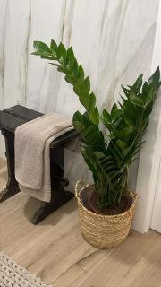 Golega Boutique Apartment By Gt House - 5